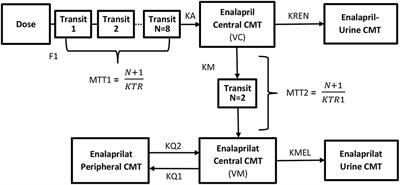 Simultaneous Semi-Mechanistic Population Pharmacokinetic Modeling Analysis of Enalapril and Enalaprilat Serum and Urine Concentrations From Child Appropriate Orodispersible Minitablets